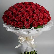 Букет 101 Красная роза Блэк Мэджик #REPLACE_PRED# Красный Яр Тульская область
