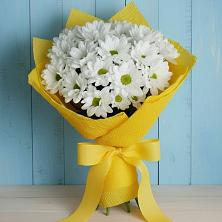 Букет цветов из:  Хризантемы в Красный Яр Тульская область