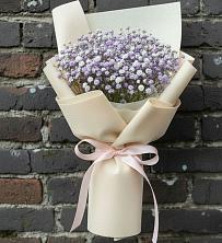 Букет цветов из:  Гипсофила в Красный Яр Тульская область