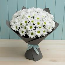 Букет цветов из:  Хризантемы в Красный Яр Тульская область