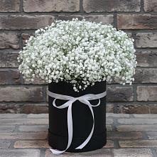 Цветочная композиция из Гипсофила в шляпной коробке в Красный Яр Тульская область