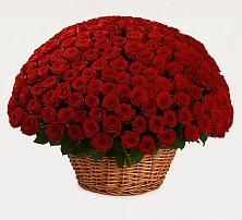 Премиум букет из: Розы в Красный Яр Тульская область