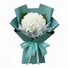 Букет цветов из:  Гортензия #REPLACE_PRED# Красный Яр Тульская область
